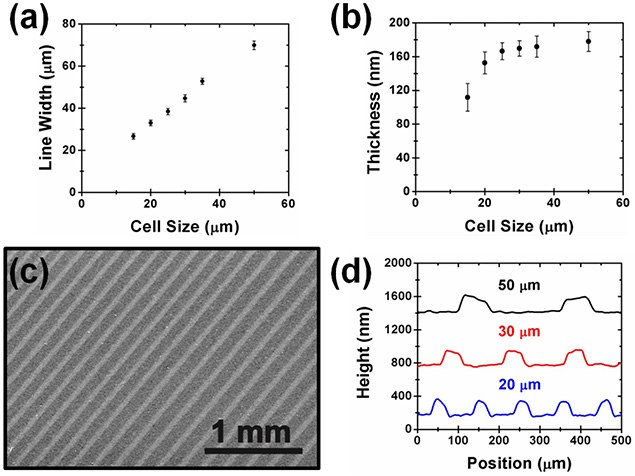 Characterization of gravure printed graphene lines Characterization of gravure printed graphene lines
