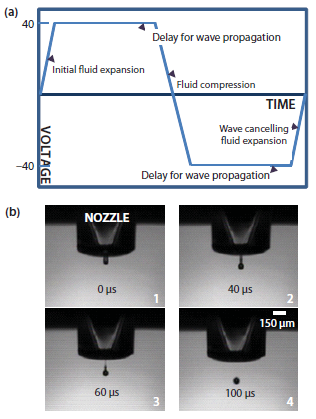 Piezo Inkjet Piezo Inkjet