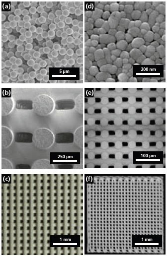 SEM micrograph of the model colloidal link SEM micrograph of the model colloidal ink