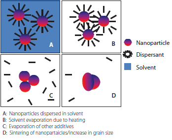 Sintering sequence of a metal nanoparticle based ink Sintering sequence of a metal nanoparticle based ink