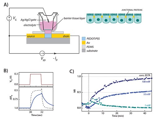 Applications in Whole Cell Biosensors Applications in Whole Cell Biosensors