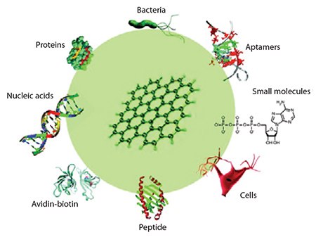 Biofunctionalization of graphene and its derivatives Biofunctionalization of graphene and its derivatives