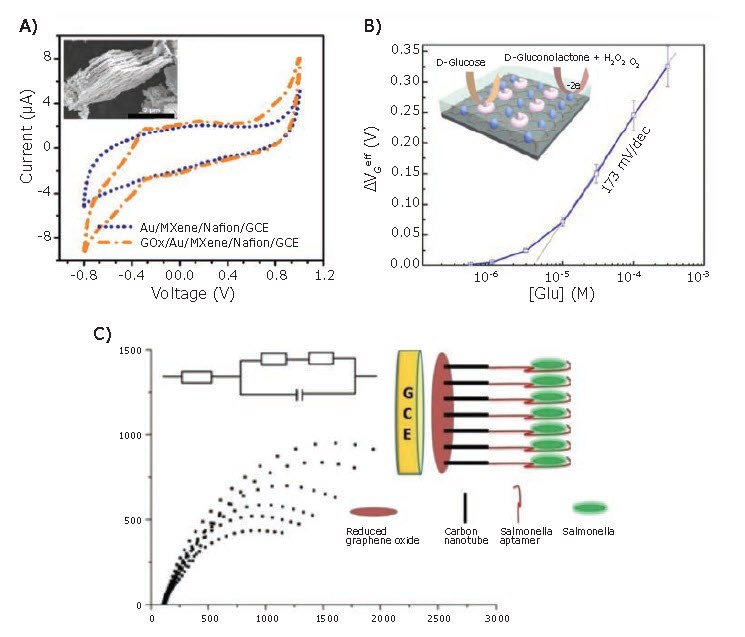 Examples of electrochemical sensors Examples of electrochemical sensors utilizing amperometric, potentiometric, and impedimetric transduction mechanisms.