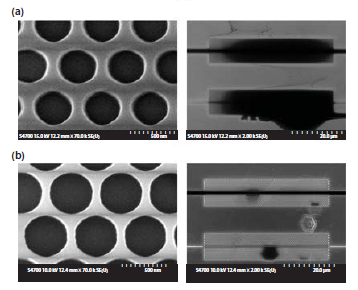 figure2222 Scanning-electron microscope