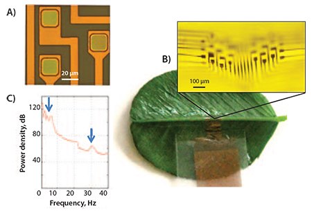 Applications in Brain Recordings Applications in Brain Recordings