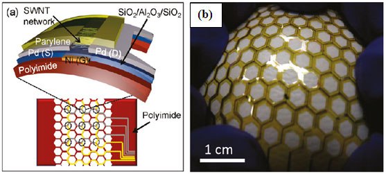 Schematic and (b) Photograph of stretchable pressure sensor using IsoNanotubes-S TM for the backplane TFT. 14 (Figure was adapted from reference  14) Schematic and (b) Photograph of stretchable pressure sensor using IsoNanotubes-S TM for the backplane TFT. 14 (Figure was adapted from reference  14)