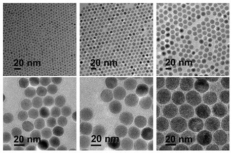 Transmission Electron Microscopy (TEM) images showing six panels of Iron Oxide Nanoparticles with a diameter of 20 nanometers. Each panel displays a different magnification and arrangement, revealing the spherical shape and uniform size of the nanoparticles. The scale bar in each image indicates 20 nm, confirming the consistency of particle size across the various images. Transmission Electron Microscopy (TEM) images showing six panels of Iron Oxide Nanoparticles with a diameter of 20 nanometers. Each panel displays a different magnification and arrangement, revealing the spherical shape and uniform size of the nanoparticles. The scale bar in each image indicates 20 nm, confirming the consistency of particle size across the various images.