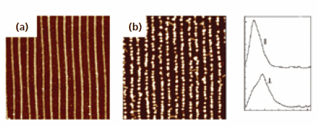 afm-np-preparation afm-np-preparation