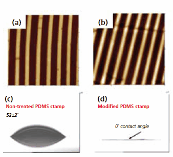 afm-topography afm topography