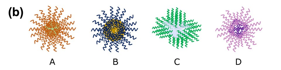 The illustration depicts four types of DNA-functionalized core particles labeled A, B, C, and D in various colors, showcasing the diversity of DNA-functionalized core particles. These different types of functionalized core particles represent a range of materials, including metallic nanoparticles, MOF structures, hydrogels, proteins, etc., highlighting their potential for tailored applications in nanotechnology, biotechnology, and materials science.  The illustration depicts four types of DNA-functionalized core particles labeled A, B, C, and D in various colors, showcasing the diversity of DNA-functionalized core particles. These different types of functionalized core particles represent a range of materials, including metallic nanoparticles, MOF structures, hydrogels, proteins, etc., highlighting their potential for tailored applications in nanotechnology, biotechnology, and materials science.