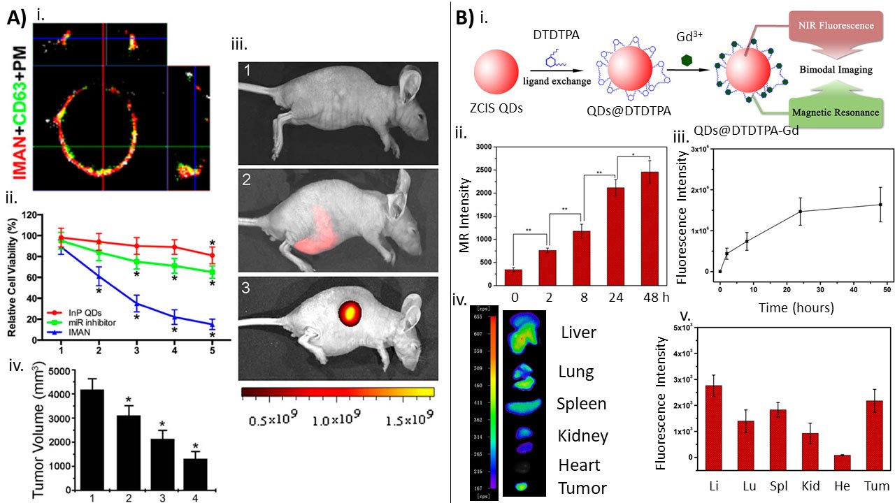 Examples of InP and CuInS2-based QDs used for bioimaging Examples of InP and CuInS2-based QDs used for bioimaging