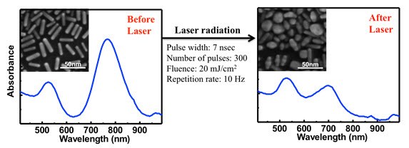 Gold nanorods and optical properties Gold nanorods and optical properties