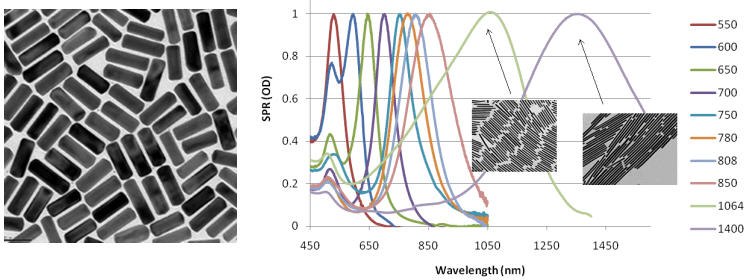 TEM image of typical gold nanorods TEM image of typical gold nanorods