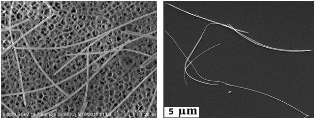 Gold Nanowires Gold Nanowires