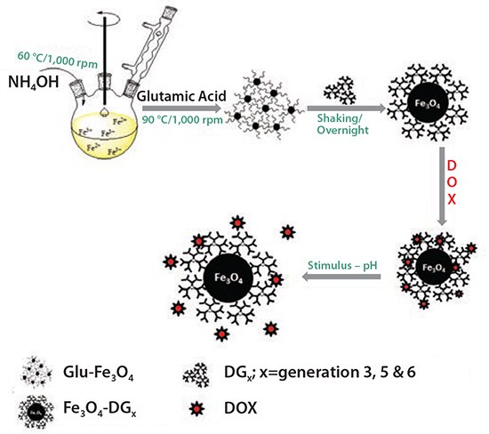 Illustration of the synthetic procedure for the synthesis  Illustration of the synthetic procedure for the synthesis