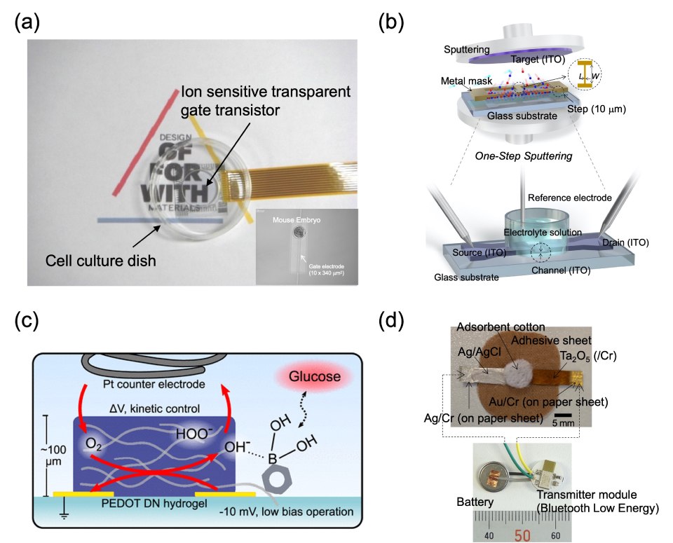 A) Ion-sensitive transparent-gate transistor (ISTGT) for visible cell sensing. B) One-step sputtering with controlled metal shadow mask for the all-by-ITO technology and conceptual structure of the solution-gated ultrathin channel ITO-based FET sensor. C) Double-network hydrogel in an OECT configuration and proposed mechnism for glucose sensing. D) Paper-based metal electrode and electrical measurement system for wireless sensing. The top left, labeld a, highlights an ion-sensitive transparent-gate transistor (ISTGT) designed for visible cell sensing, shown alongside a cell culture dish. The ISTGT offers a transparent and sensitive platform for monitoring cellular activities, making it suitable for a wide range of biomedical and bioelectronic applications. The clear visualization of the ISTGT and its integration with cell culture emphasizes its potential for real-time and non-invasive cell sensing, contributing to advancements in cellular research, drug screening, and diagnostics. The top right, labeled b,  illustrates one-step sputtering with a controlled metal shadow mask for the all-by-ITO technology, alongside the conceptual structure of a solution-gated ultrathin channel ITO-based FET sensor. The technology and sensor design offer a comprehensive and efficient approach to the fabrication and operation of FET sensors. The one-step sputtering process and the ultrathin channel FET sensor concept demonstrate key advancements in sensor manufacturing and functionality, especially in the field of biosensing and point-of-care diagnostics. The bottom left, labeled c, showcases a double-network hydrogel integrated into an organic electrochemical transistor (OECT) configuration, along with a proposed mechanism for glucose sensing. The integration of the double-network hydrogel with the OECT platform offers a versatile and responsive system for glucose sensing and bioelectronic applications. The proposed sensing mechanism provides valuable insights into the interaction between the hydrogel and glucose, highlighting the potential for accurate and sensitive glucose detection in physiological and biomedical environments. The bottom right, labeled d, displays a paper-based metal electrode and an electrical measurement system designed for wireless sensing applications. The integration of the paper-based electrode with the wireless measurement system offers a portable and low-cost solution for diverse sensing applications. The visual representation emphasizes the practical and user-friendly nature of the wireless sensing platform, showcasing its potential for remote and point-of-use environmental and biomedical monitoring.