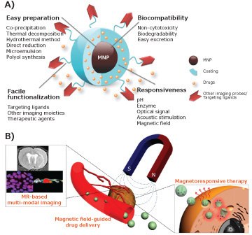 Magnetic nanoparticles (MNP) Magnetic nanoparticles (MNP)