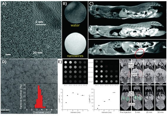 Transmission electron microscopy (TEM) Transmission electron microscopy (TEM)