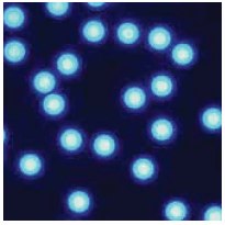 Microparticles GmbH Microparticles GmbH
