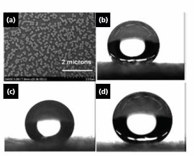 pgma-modified-silica pgma modified silica