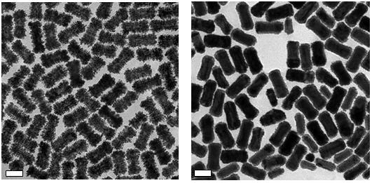 Platinum and Palladium Coated Gold Nanostructures Platinum and Palladium Coated Gold Nanostructures