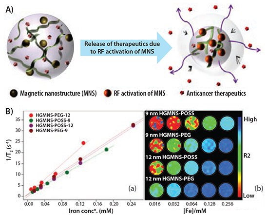 Schematic depicting the thermo-responsive collapse of the magnetic nanohydrogel  Schematic depicting the thermo-responsive collapse of the magnetic nanohydrogel