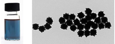 TEM of 100 nm Gold NanoUrchins TEM of 100 nm Gold NanoUrchins