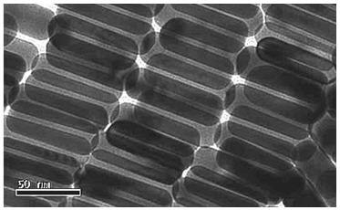 TEM image of gold nanorods TEM image of gold nanorods