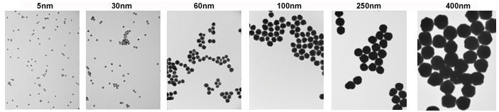 TEM images of 5 nm (left) and 400 nm (right) gold nanoparticles with <8% CV TEM images of 5 nm (left) and 400 nm (right) gold nanoparticles with <8% CV