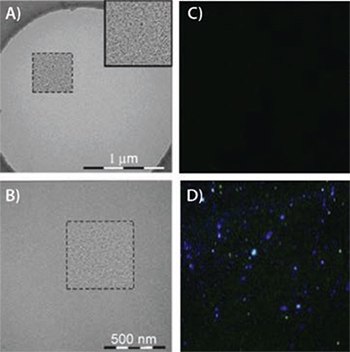 Transmission electron microgram (TEM) image of PEG nanoparticles Transmission electron microgram (TEM) image of PEG nanoparticles