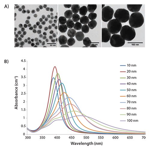 transmission-electron-micrographs transmission-electron-micrographs
