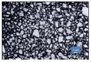 Scanning electron micrograph Scanning electron micrograph