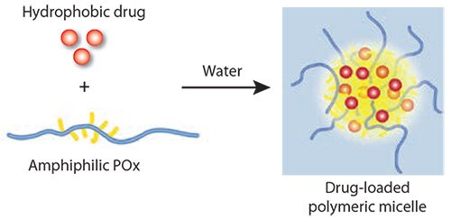 Simple but highly effective solubilization of hydrophobic drugs by amphiphilic POx. Simple but highly effective solubilization of hydrophobic drugs by amphiphilic POx.