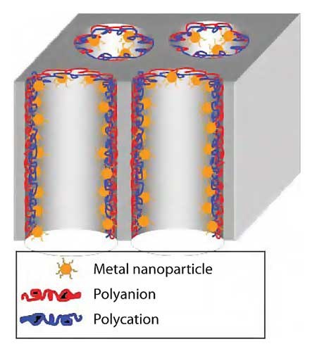 Schematic drawing of catalytic metal nanoparticles immobilized in a porous membrane using LbL deposition Schematic drawing of catalytic metal nanoparticles immobilized in a porous membrane using LbL deposition
