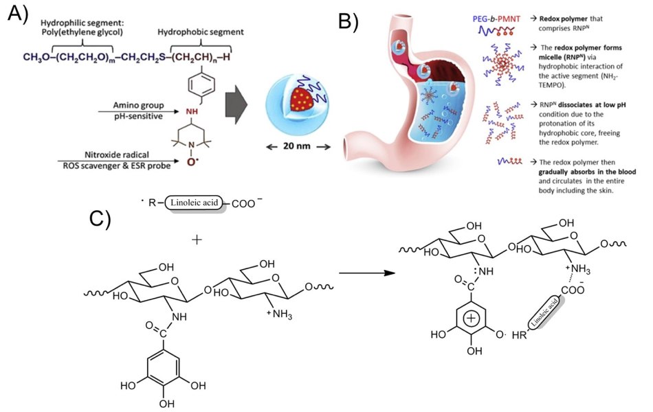 Chemical structure of pH-sensitive antioxidant polymer nanoparticles Chemical structure of pH-sensitive antioxidan polymer nanoparticles including a hydropohilic segment (poly(ethylene glycol) PEG), a pH-sensive amino group, and a ROS scavenger (nitroxide radical)