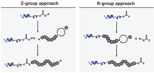 Comparison of the R- and Z-group approach Comparison of the R- and Z-group approach