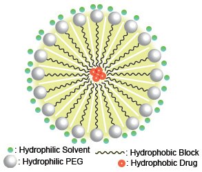 Micellen_neu Schematic example of drug-loaded micelles