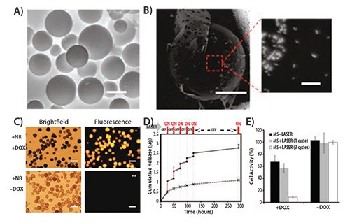 Environmental scanning electron micrograph of polymeric microspheres Environmental scanning electron micrograph of polymeric microspheres