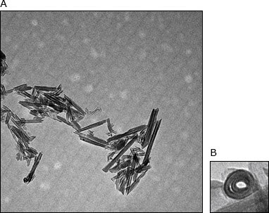 TEM Image of 50 nm diameter halloysite nanotubules 685445 (a) and tube cross-section (b). Halloysite nanotubules image