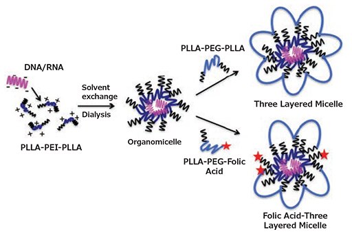 Formulation of non-targeted and targeted three-layered micelles in a 2-step process Formulation of non-targeted and targeted three-layered micelles in a 2-step process