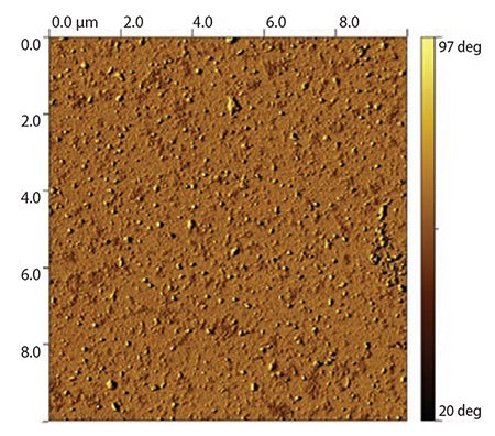 gold surface coated with thiol-terminated gold surface coated with thiol-terminated