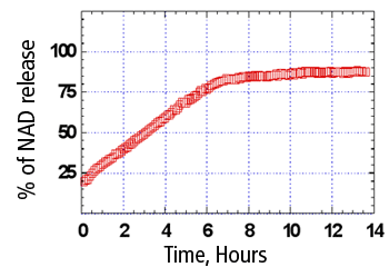 Release of macromolecules from halloysite nanotubules graph Release of macromolecules from halloysite nanotubules graph