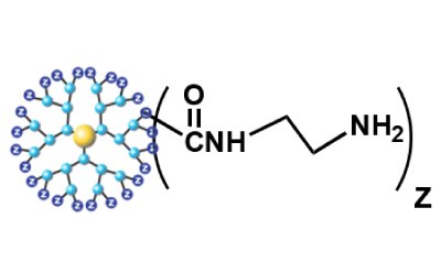 Schematic of PAMAM dendrimers with various surface functionalities.  - A Amino (AmA)<br>(Cationic Dendrimer)