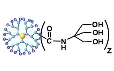 Schematic of PAMAM dendrimers with various surface functionalities.  - C Tris(hydroxymethy aminomethane (TRIS))<br>(Neutral Dendrimer)