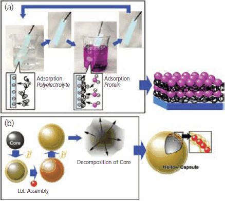 Process of LbL assembly Process of LbL assembly