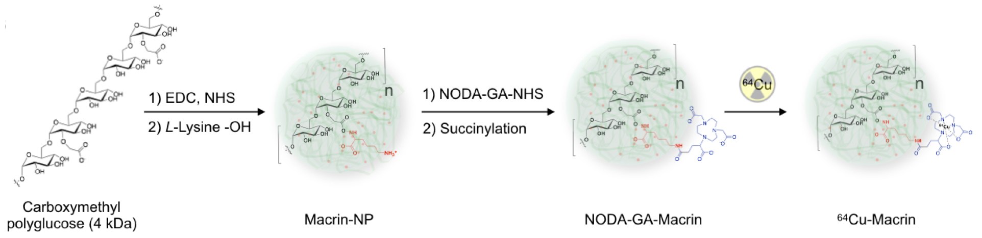 Macrin synthetic scheme Macrin synthetic scheme