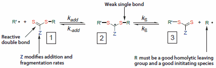 Mechanism for reversible addition-fragmentation chain transfer Mechanism for reversible addition-fragmentation chain transfer