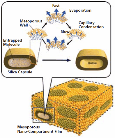 Mesoporous nanocompartment film. Mesoporous nanocompartment film.
