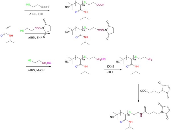 Functionalization using Chain Transfer Agents (CTA) Functionalization using Chain Transfer Agents (CTA)
