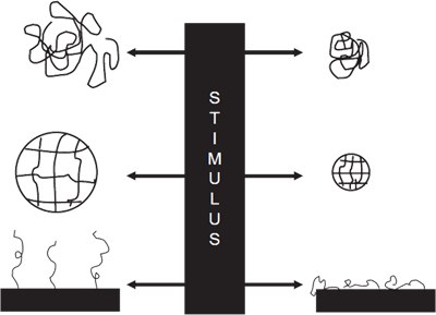 Stimuli-responsive Polymer Forms Stimuli-responsive Polymer Forms